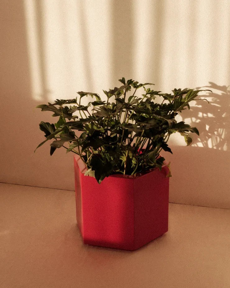 Pot-Wishing Well-30 cm